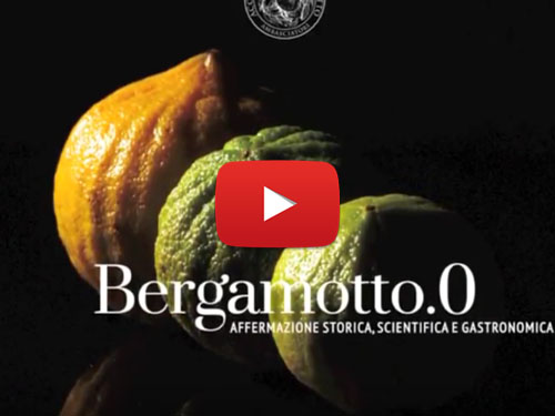 Video dimostrativo del libro Bergamotto.0, affermazione storica, scientifica e gastronomica